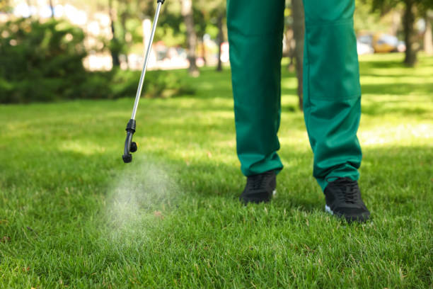 Best Wasp Removal Services  in Boutte, LA