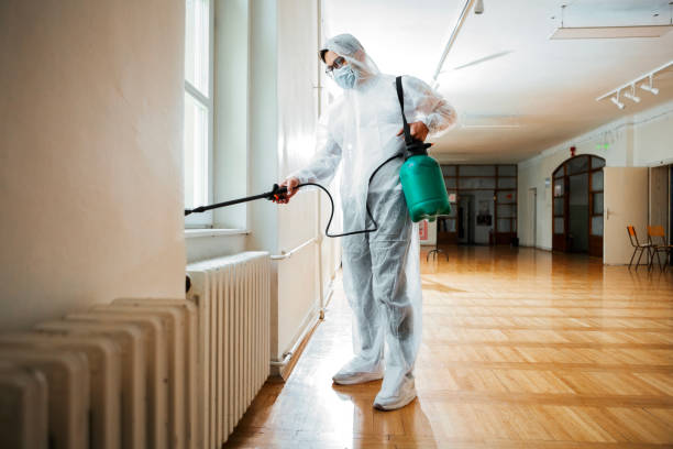 Professional Pest Control in Boutte, LA
