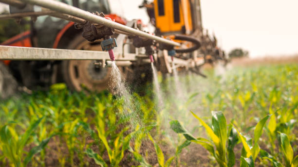 Best Commercial Pest Control Services  in Boutte, LA